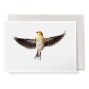 Female Goldfinch 5" by 7" Greeting Card