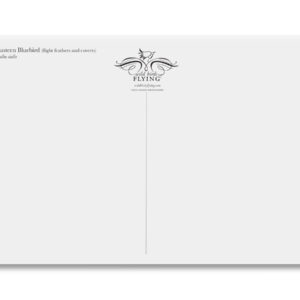 Eastern Bluebird Wing Postcard - Image 2